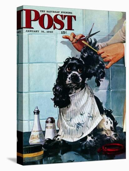 "Butch's Haircut," Saturday Evening Post Cover, January 31, 1948-Albert Staehle-Stretched Canvas