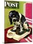 "Butch Weighs In," Saturday Evening Post Cover, September 1, 1945-Albert Staehle-Mounted Giclee Print