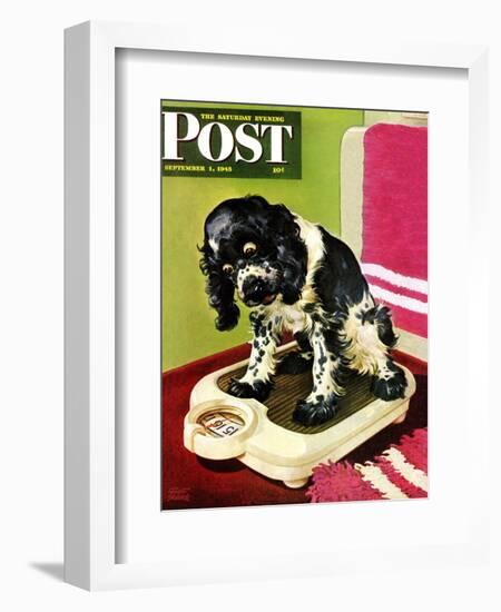 "Butch Weighs In," Saturday Evening Post Cover, September 1, 1945-Albert Staehle-Framed Giclee Print