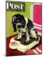 "Butch Weighs In," Saturday Evening Post Cover, September 1, 1945-Albert Staehle-Mounted Giclee Print