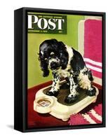 "Butch Weighs In," Saturday Evening Post Cover, September 1, 1945-Albert Staehle-Framed Stretched Canvas