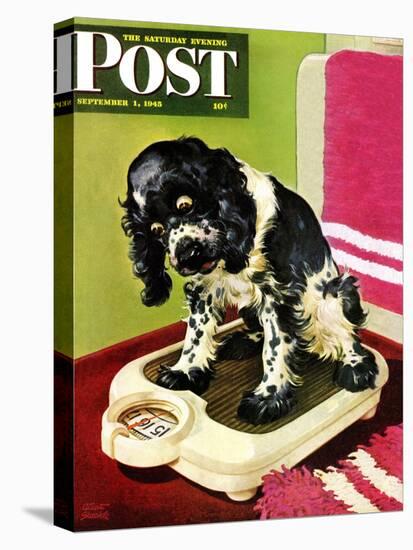 "Butch Weighs In," Saturday Evening Post Cover, September 1, 1945-Albert Staehle-Stretched Canvas