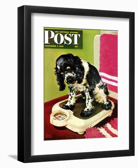 "Butch Weighs In," Saturday Evening Post Cover, September 1, 1945-Albert Staehle-Framed Premium Giclee Print