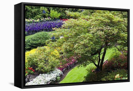 Butchart Gardens in Full Bloom, Victoria, British Columbia, Canada-Terry Eggers-Framed Stretched Canvas