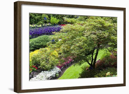 Butchart Gardens in Full Bloom, Victoria, British Columbia, Canada-Terry Eggers-Framed Photographic Print