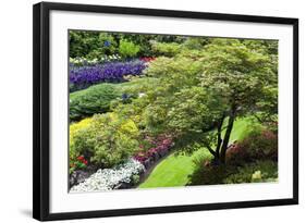 Butchart Gardens in Full Bloom, Victoria, British Columbia, Canada-Terry Eggers-Framed Photographic Print