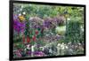 Butchart Gardens in Full Bloom, Victoria, British Columbia, Canada-Terry Eggers-Framed Photographic Print