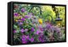 Butchart Gardens in Full Bloom, Victoria, British Columbia, Canada-Terry Eggers-Framed Stretched Canvas