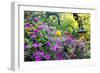 Butchart Gardens in Full Bloom, Victoria, British Columbia, Canada-Terry Eggers-Framed Photographic Print