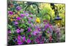 Butchart Gardens in Full Bloom, Victoria, British Columbia, Canada-Terry Eggers-Mounted Photographic Print