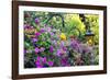 Butchart Gardens in Full Bloom, Victoria, British Columbia, Canada-Terry Eggers-Framed Photographic Print