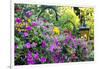 Butchart Gardens in Full Bloom, Victoria, British Columbia, Canada-Terry Eggers-Framed Photographic Print