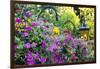 Butchart Gardens in Full Bloom, Victoria, British Columbia, Canada-Terry Eggers-Framed Photographic Print