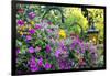 Butchart Gardens in Full Bloom, Victoria, British Columbia, Canada-Terry Eggers-Framed Photographic Print