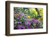 Butchart Gardens in Full Bloom, Victoria, British Columbia, Canada-Terry Eggers-Framed Photographic Print