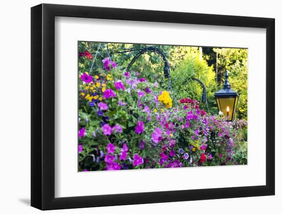 Butchart Gardens in Full Bloom, Victoria, British Columbia, Canada-Terry Eggers-Framed Photographic Print