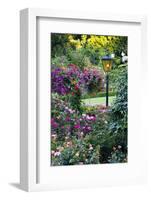 Butchart Gardens in Full Bloom, Victoria, British Columbia, Canada-Terry Eggers-Framed Photographic Print