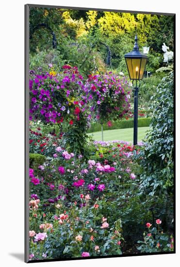 Butchart Gardens in Full Bloom, Victoria, British Columbia, Canada-Terry Eggers-Mounted Photographic Print