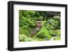 Butchart Gardens in Full Bloom, Victoria, British Columbia, Canada-Terry Eggers-Framed Photographic Print