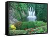 Butchart Gardens, Saanich, Vancouver Island, British Columbia-Rob Tilley-Framed Stretched Canvas