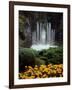 Butchart Gardens, Victoria, British Columbia, Canada-null-Framed Photographic Print