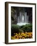 Butchart Gardens, Victoria, British Columbia, Canada-null-Framed Photographic Print