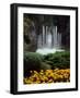 Butchart Gardens, Victoria, British Columbia, Canada-null-Framed Photographic Print