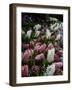 Butchart Gardens, Victoria, British Columbia, Canada-null-Framed Photographic Print