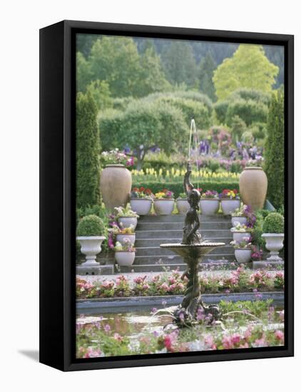 Butchart Gardens, Victoria, Canada-null-Framed Stretched Canvas