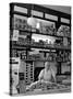 Butcher Standing at Meat Counter of Deli-Alfred Eisenstaedt-Stretched Canvas