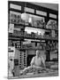 Butcher Standing at Meat Counter of Deli-Alfred Eisenstaedt-Mounted Photographic Print