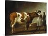 Butcher with a Bull-Calraet Abraham-Stretched Canvas
