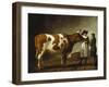 Butcher with a Bull-Calraet Abraham-Framed Giclee Print