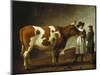 Butcher with a Bull-Calraet Abraham-Mounted Giclee Print