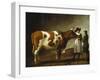 Butcher with a Bull-Calraet Abraham-Framed Giclee Print