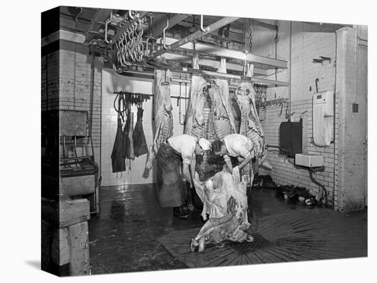 Butchery Factory, Rawmarsh, South Yorkshire, 1955-Michael Walters-Stretched Canvas