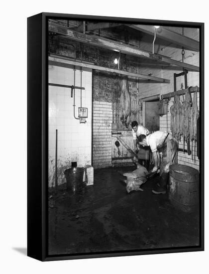 Butchery Factory, Rawmarsh, South Yorkshire, 1955-Michael Walters-Framed Stretched Canvas