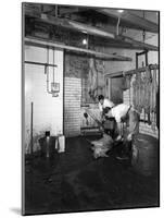 Butchery Factory, Rawmarsh, South Yorkshire, 1955-Michael Walters-Mounted Photographic Print