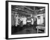 Butchery Factory, Rawmarsh, South Yorkshire, 1955-Michael Walters-Framed Photographic Print
