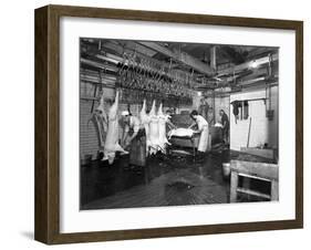 Butchery Factory, Rawmarsh, South Yorkshire, 1955-Michael Walters-Framed Photographic Print