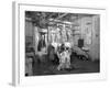 Butchery Factory, Rawmarsh, South Yorkshire, 1955-Michael Walters-Framed Photographic Print