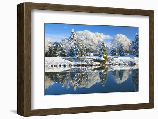 Bute Park in snow, Cardiff, Wales, United Kingdom, Europe-Billy Stock-Framed Photographic Print