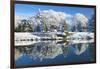 Bute Park in snow, Cardiff, Wales, United Kingdom, Europe-Billy Stock-Framed Photographic Print