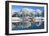 Bute Park in snow, Cardiff, Wales, United Kingdom, Europe-Billy Stock-Framed Photographic Print