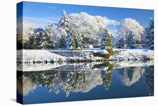 Bute Park in snow, Cardiff, Wales, United Kingdom, Europe-Billy Stock-Stretched Canvas