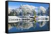 Bute Park in snow, Cardiff, Wales, United Kingdom, Europe-Billy Stock-Framed Stretched Canvas