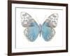 Buterfly with Indigo-Julia Bosco-Framed Art Print