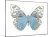 Buterfly with Indigo-Julia Bosco-Mounted Art Print