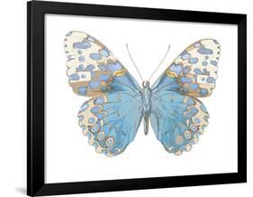 Buterfly with Indigo-Julia Bosco-Framed Art Print