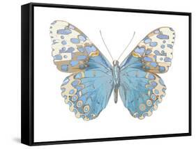 Buterfly with Indigo-Julia Bosco-Framed Stretched Canvas
